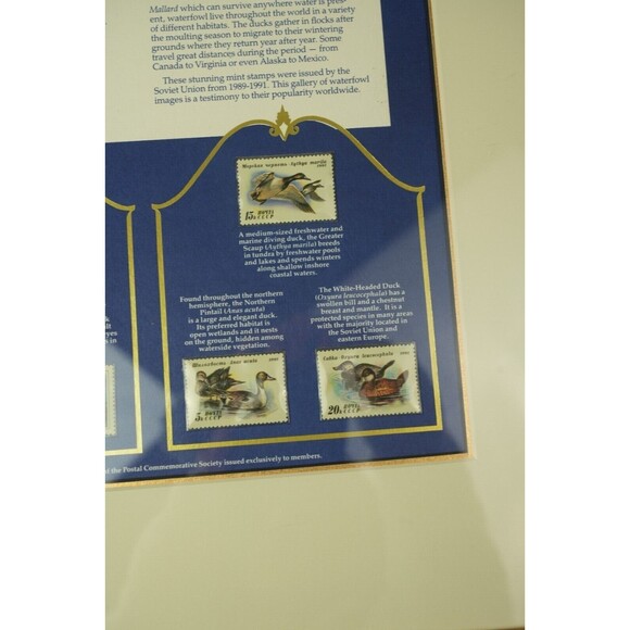 Soviet Union Waterfowl Stamps 1989-1991 | Gold-Framed Display Page | Collectible - Picture 7 of 16